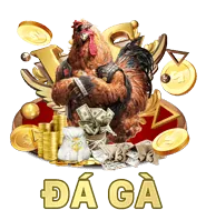 Hỗ trợ qua Email longfu88